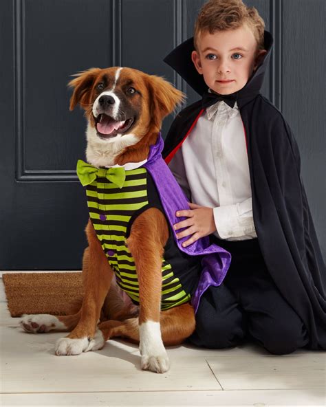 adult halloween costume dog|matching halloween costumes with dog.